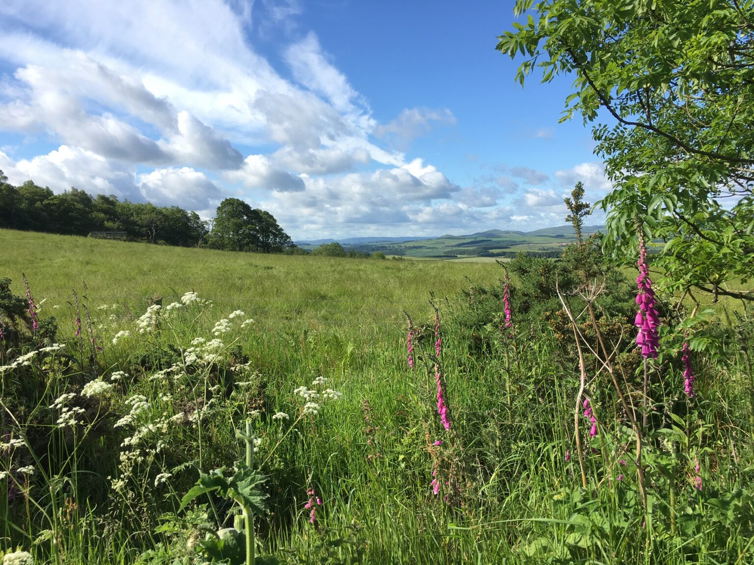 Northumberland Holiday Park 